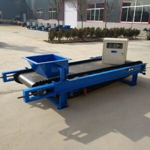 TDG type quantitative belt feeder